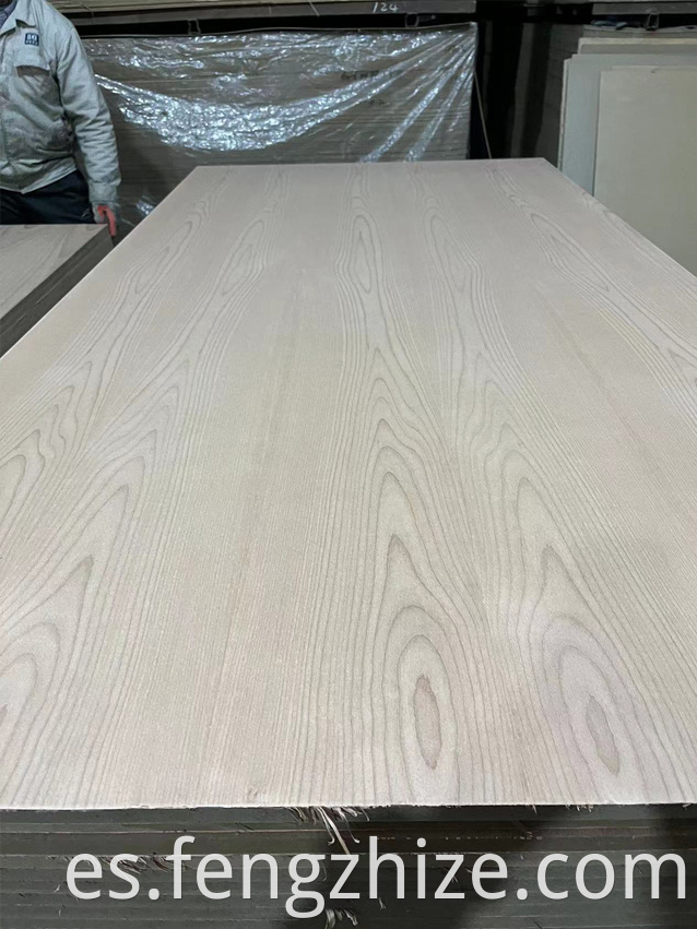 BEECH FANCY PLYWOOD